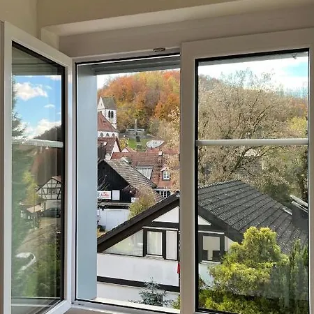 Schoene Altbauwohnung Mit Grosser Dachterrasse Fuer Bis Zu 8 Personen * 로라흐