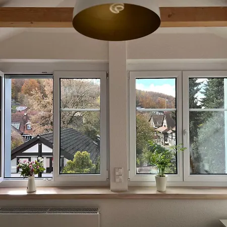 Schoene Altbauwohnung Mit Grosser Dachterrasse Fuer Bis Zu 8 Personen شقة