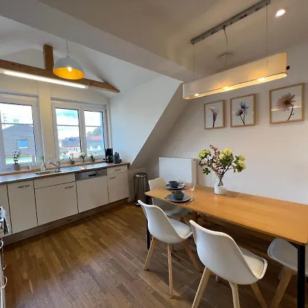 Schoene Altbauwohnung Mit Grosser Dachterrasse Fuer Bis Zu 8 Personen 아파트 로라흐