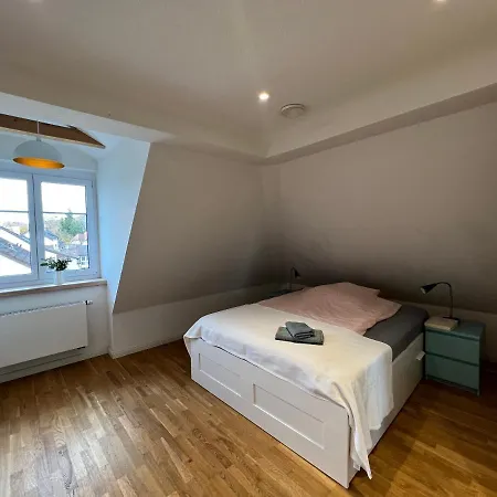 Schoene Altbauwohnung Mit Grosser Dachterrasse Fuer Bis Zu 8 Personen דירה לוראך