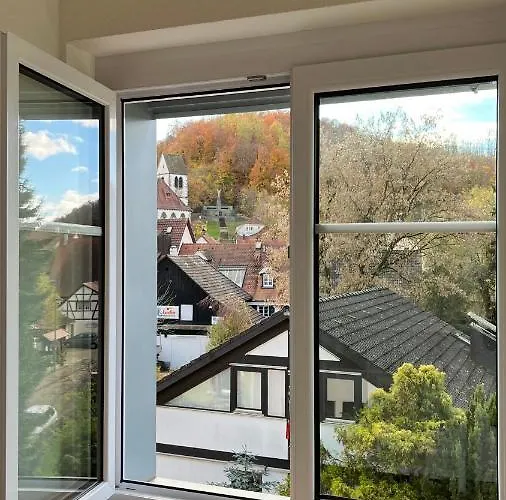 Schoene Altbauwohnung Mit Grosser Dachterrasse Fuer Bis Zu 8 Personen * Lörrach