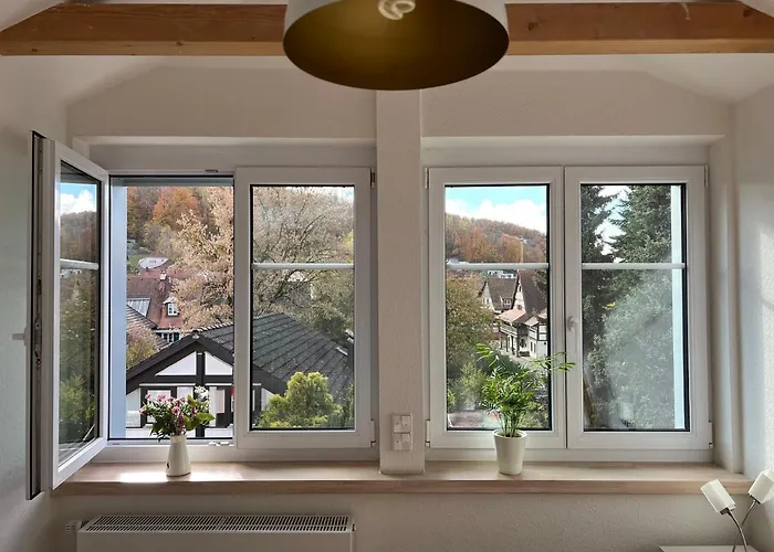 Schoene Altbauwohnung Mit Grosser Dachterrasse Fuer Bis Zu 8 Personen Διαμέρισμα