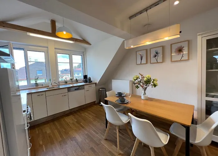 Schoene Altbauwohnung Mit Grosser Dachterrasse Fuer Bis Zu 8 Personen Διαμέρισμα Lörrach