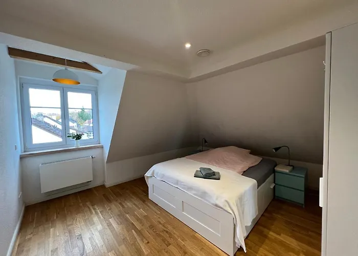 Schoene Altbauwohnung Mit Grosser Dachterrasse Fuer Bis Zu 8 Personen Διαμέρισμα Lörrach